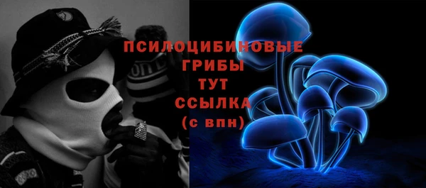 ГАЛЛЮЦИНОГЕННЫЕ ГРИБЫ Алексеевка