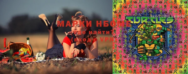 ГАЛЛЮЦИНОГЕННЫЕ ГРИБЫ Алексеевка