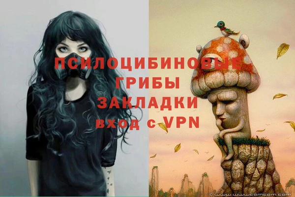 ГАЛЛЮЦИНОГЕННЫЕ ГРИБЫ Алексеевка