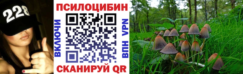 blacksprut ТОР  Перевоз  Галлюциногенные грибы Psilocybine cubensis  купить  цена 